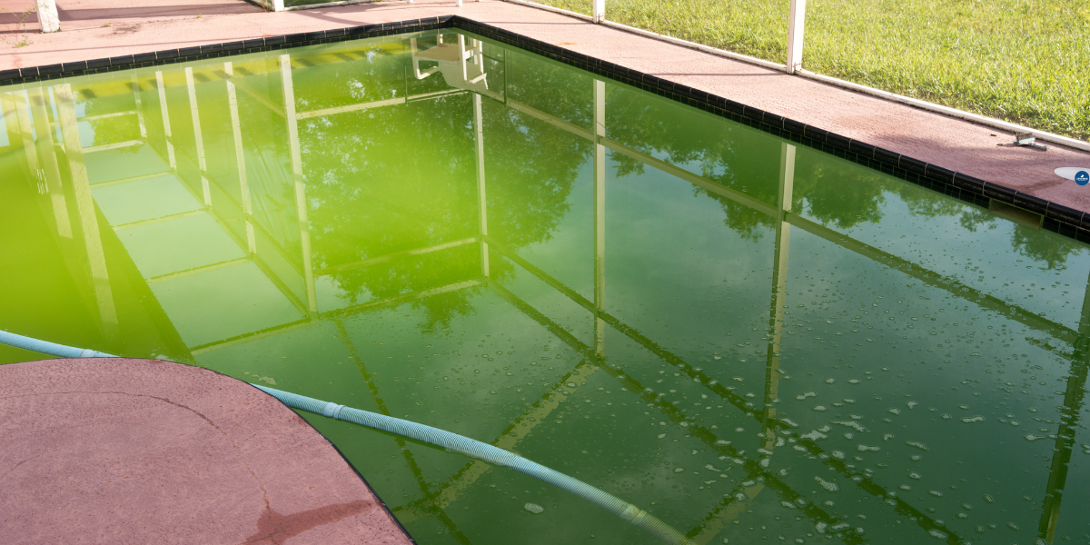 pool cleaning in boca raton