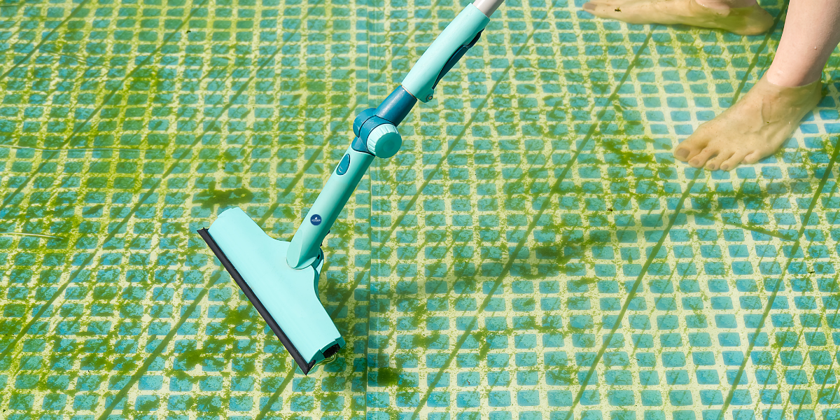 Pool algae cleaning in boca raton